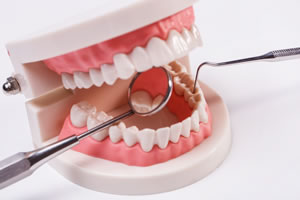 teeth and dental care